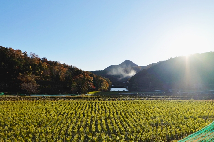 宝塚市香合
