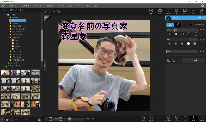 PhotoScape X モザイク処理