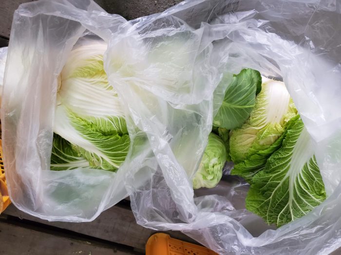 淡路島 野菜
