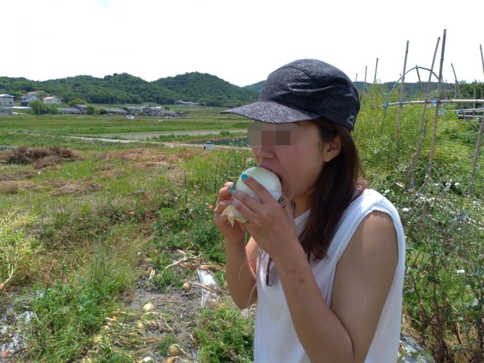 淡路島 たまねぎ まるかぶり