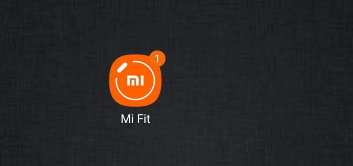 Xiaomi Mi band 4 Me Fit