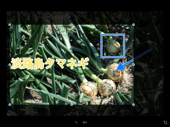 Annotable トリミング