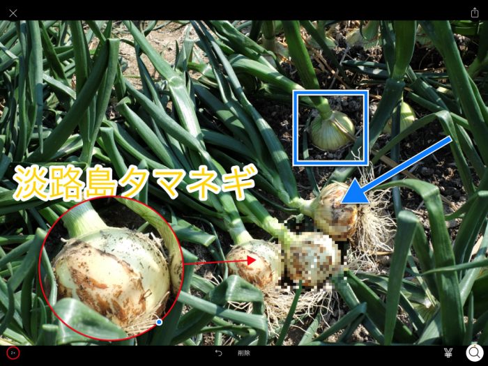 Annotable 拡大鏡