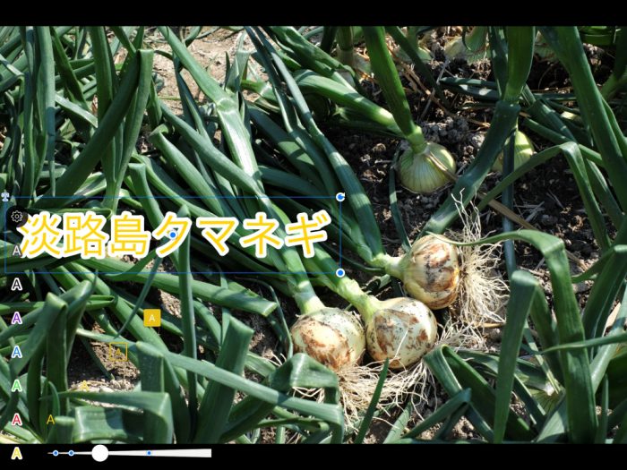 Annotable 文字装飾