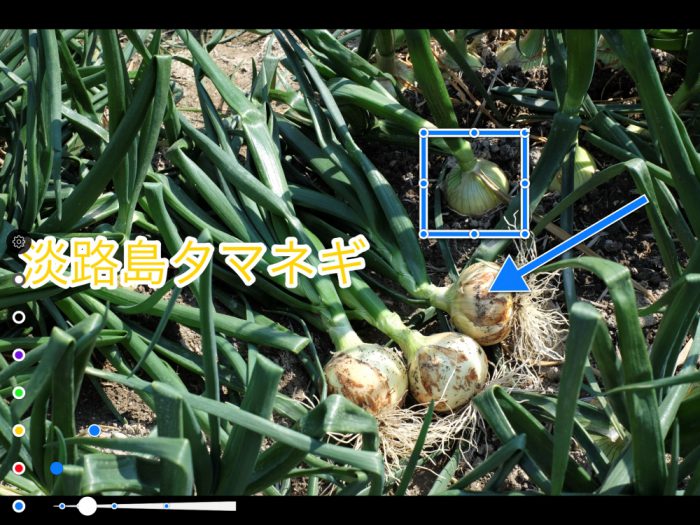 Annotable 図形を入れる