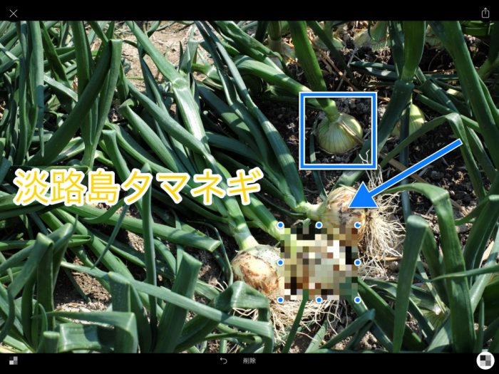 Annotable モザイク