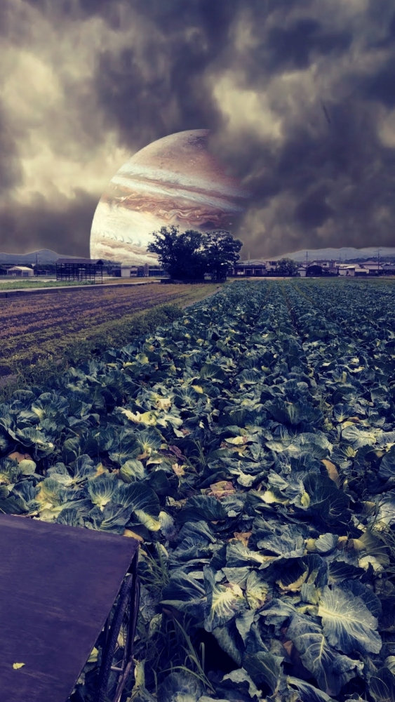 Photoshop Camera フィルター例