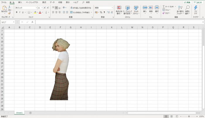 Excel 画像背景削除