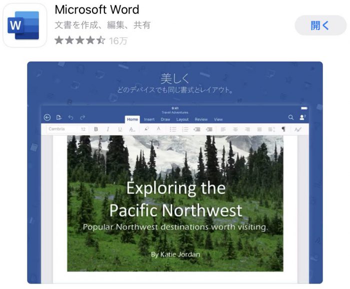 Microsoft Word