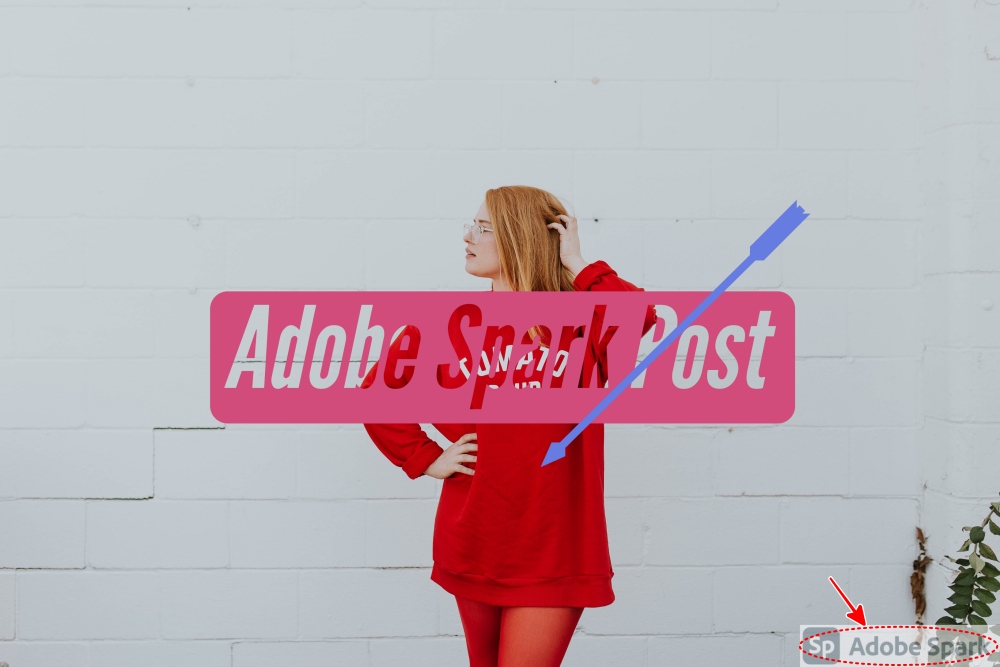 Adobe Spark Post