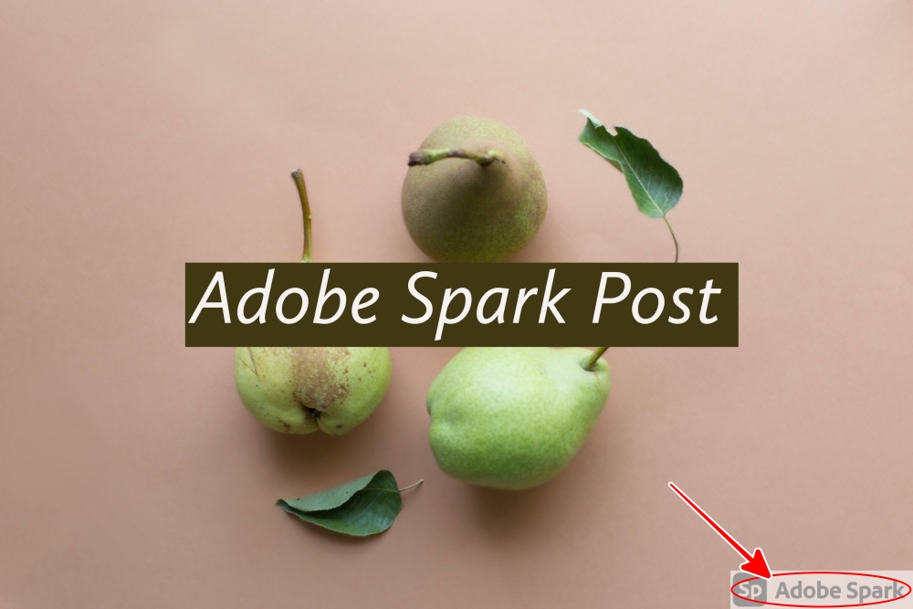 Adobe Spark Post