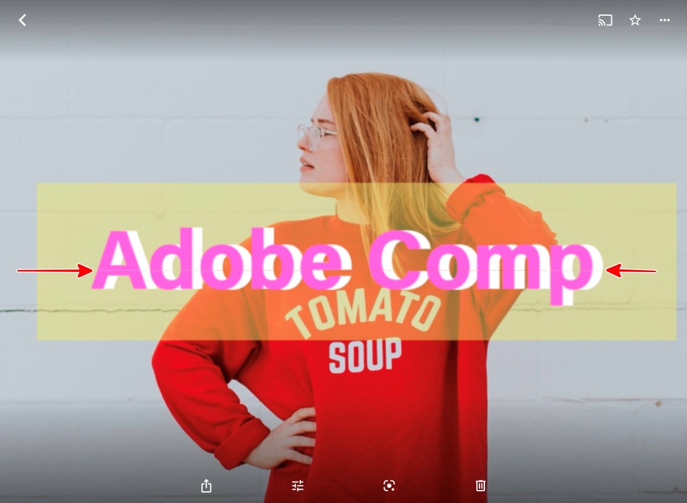 Adobe Camp